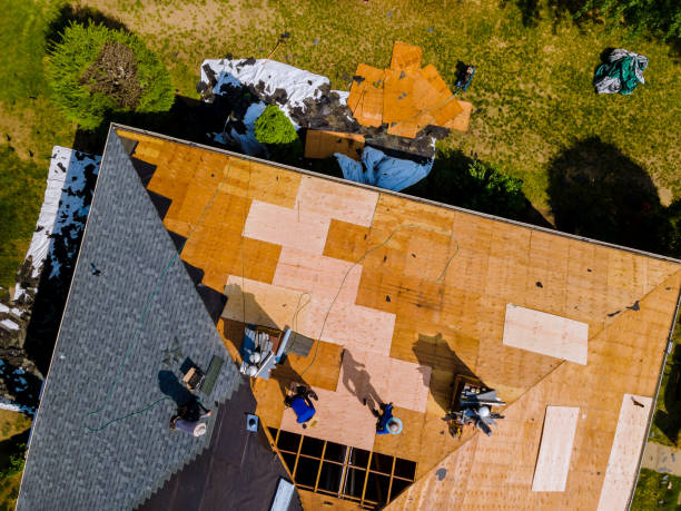 Best Roof Maintenance Services  in Hutchinson, MN